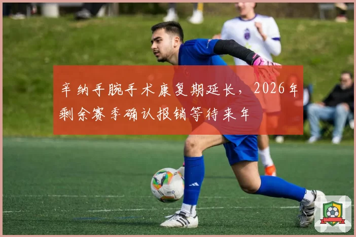 辛纳手腕手术康复期延长，2026年剩余赛季确认报销等待来年