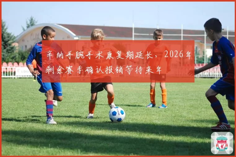 辛纳手腕手术康复期延长，2026年剩余赛季确认报销等待来年